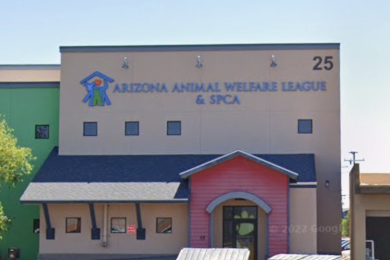Tempe Celebrates Furry Friends at AAWL's 27th Annual Walk to Save Animals