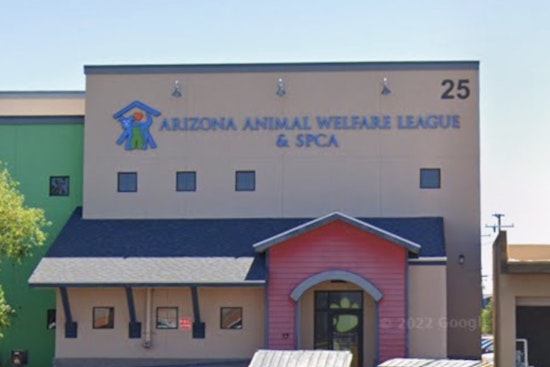 Tempe Celebrates Furry Friends at AAWL's 27th Annual Walk to Save Animals