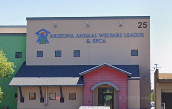Tempe Celebrates Furry Friends at AAWL's 27th Annual Walk to Save Animals