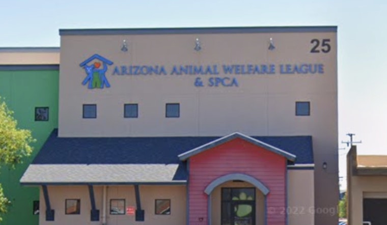 Tempe Celebrates Furry Friends at AAWL's 27th Annual Walk to Save Animals