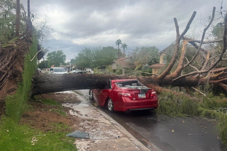Tempe Community Grapples with Recovery Efforts a Month After Destructive Microburst
