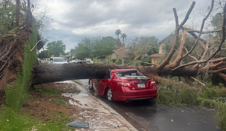 Tempe Community Grapples with Recovery Efforts a Month After Destructive Microburst