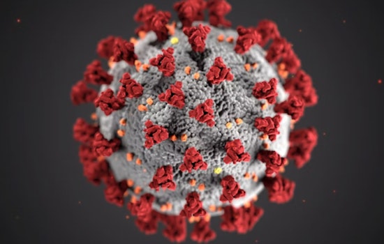 Texas Battles Worst Whooping Cough Outbreak in Over a Decade Amid Falling Vaccination Rates