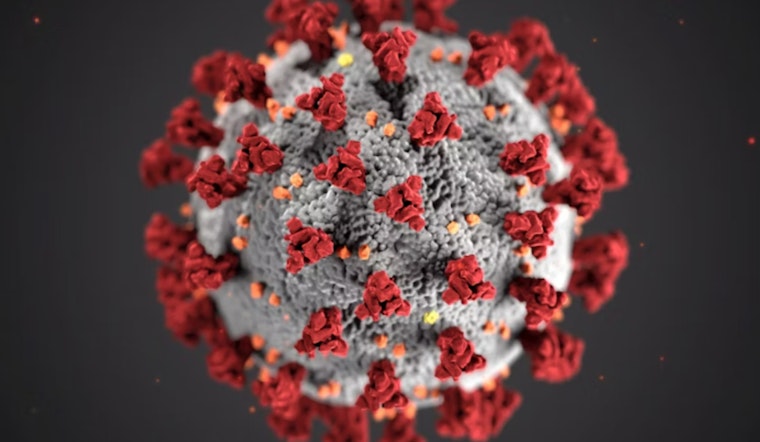 Texas Battles Worst Whooping Cough Outbreak in Over a Decade Amid Falling Vaccination Rates