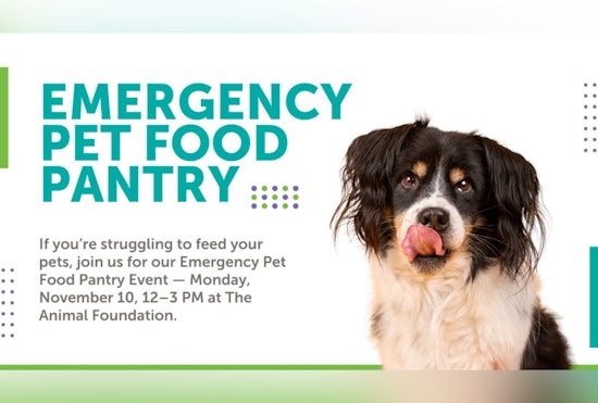 The Animal Foundation Hosts Emergency Pet Food Pantry in Clark County to Aid Owners During Government Shutdown