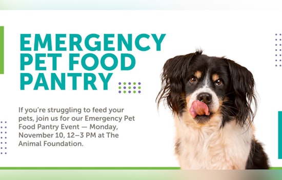 The Animal Foundation Hosts Emergency Pet Food Pantry in Clark County to Aid Owners During Government Shutdown