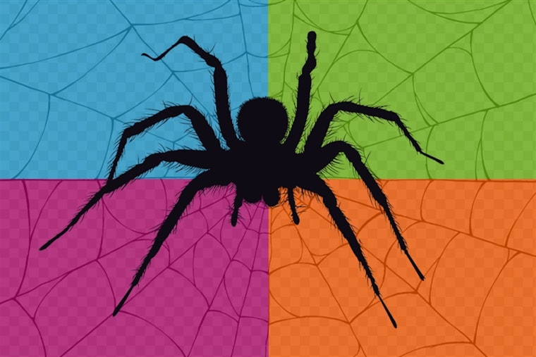 "The Art and Science of Arachnids" Exhibition Creeps into River Legacy Nature Center in Arlington