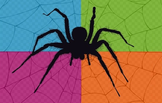 "The Art and Science of Arachnids" Exhibition Creeps into River Legacy Nature Center in Arlington