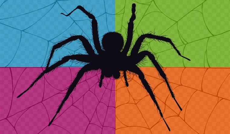 "The Art and Science of Arachnids" Exhibition Creeps into River Legacy Nature Center in Arlington