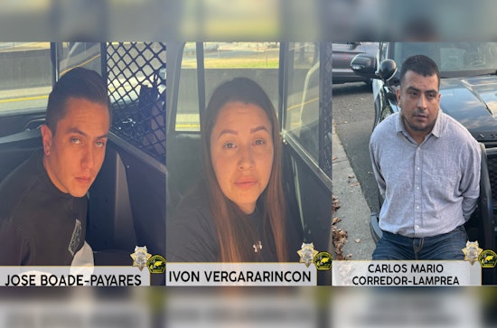 Three Suspected International Theft Ring Members Arrested in Placer County Amid Multistate Crime Spree