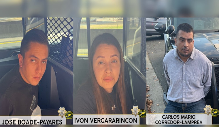 Three Suspected International Theft Ring Members Arrested in Placer County Amid Multistate Crime Spree