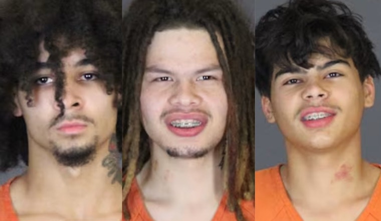 Three Teens Arrested, Charged in Port Huron Township Drive-By Shooting