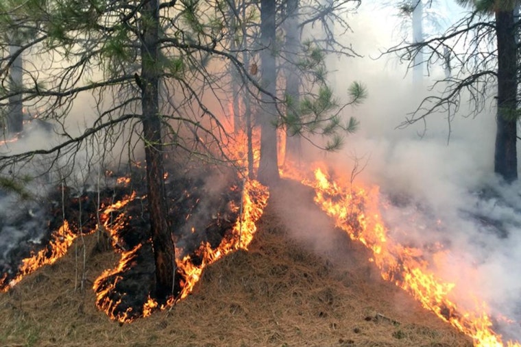 Tonto National Forest Set for Prescribed Burns Near Payson to Mitigate Wildfire Risks