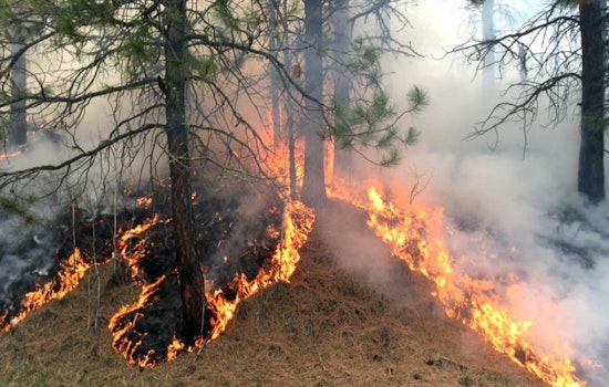 Tonto National Forest Set for Prescribed Burns Near Payson to Mitigate Wildfire Risks