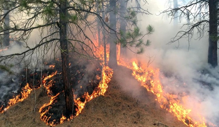 Tonto National Forest Set for Prescribed Burns Near Payson to Mitigate Wildfire Risks