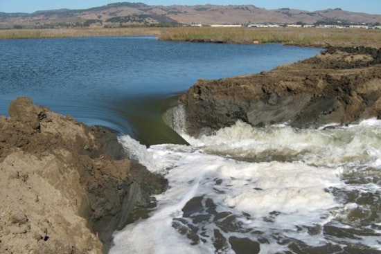 Trump Water Rollback Puts Sonoma Wetlands on the Line