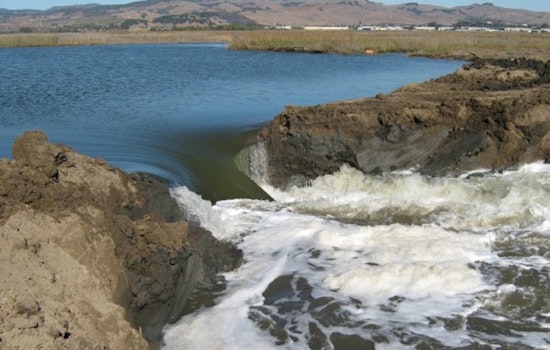Trump Water Rollback Puts Sonoma Wetlands on the Line