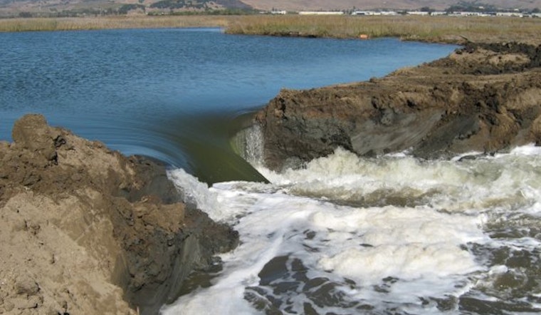 Trump Water Rollback Puts Sonoma Wetlands on the Line