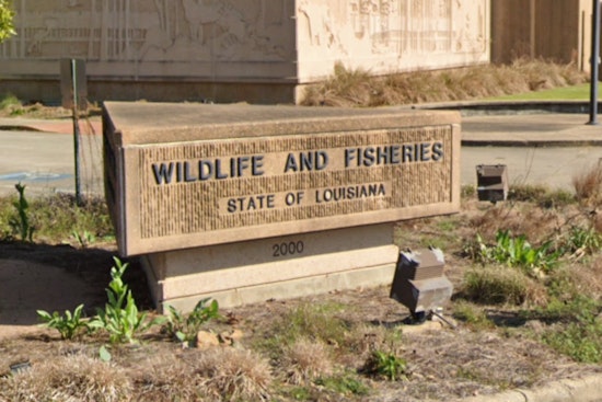 Two Suspected of Illegal Night Hunting in Ascension Parish, Facing Significant Fines and Jail Time