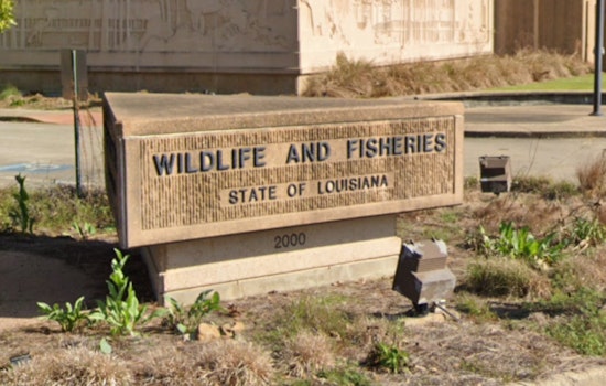Two Suspected of Illegal Night Hunting in Ascension Parish, Facing Significant Fines and Jail Time