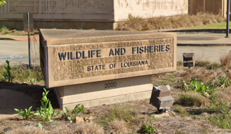 Two Suspected of Illegal Night Hunting in Ascension Parish, Facing Significant Fines and Jail Time