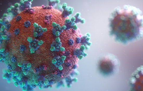 UC San Diego 'Trains Killer Viruses' to Take on Hospital Superbug