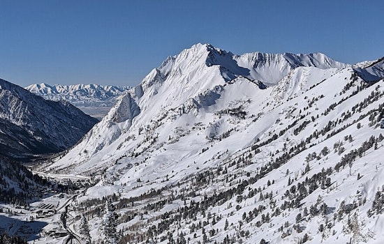 UDOT Enforces Updated Traction Law for Safer Winter Travel in Big and Little Cottonwood Canyons