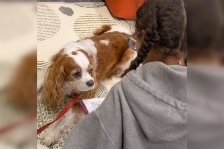 Union County Library Launches "Paws to Read" Program to Boost Kids' Literacy with Therapy Dogs