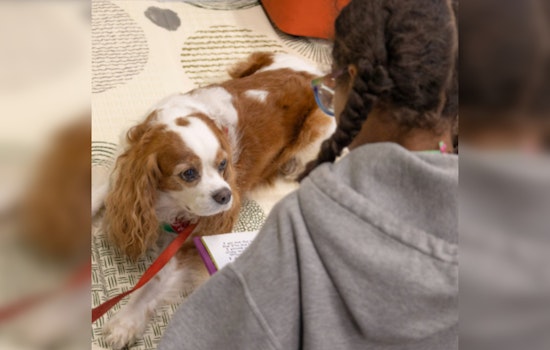 Union County Library Launches "Paws to Read" Program to Boost Kids' Literacy with Therapy Dogs