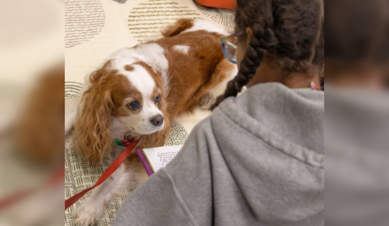 Union County Library Launches "Paws to Read" Program to Boost Kids' Literacy with Therapy Dogs