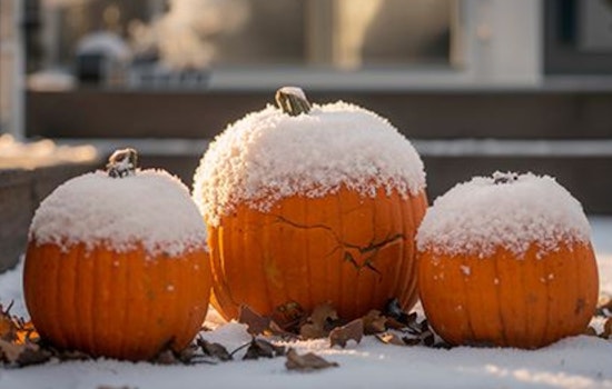Upper Arlington Launches Annual Pumpkin Composting Initiative for a Greener Holiday Season