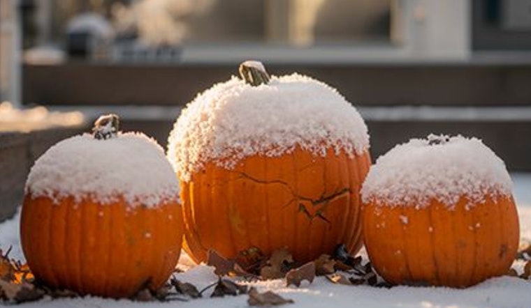 Upper Arlington Launches Annual Pumpkin Composting Initiative for a Greener Holiday Season