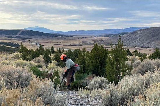 Utah's Watershed Restoration Initiative Revitalizes Over 144,000 Acres in 2024-25, Bolsters Economy with New Jobs