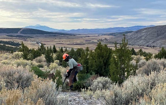 Utah's Watershed Restoration Initiative Revitalizes Over 144,000 Acres in 2024-25, Bolsters Economy with New Jobs