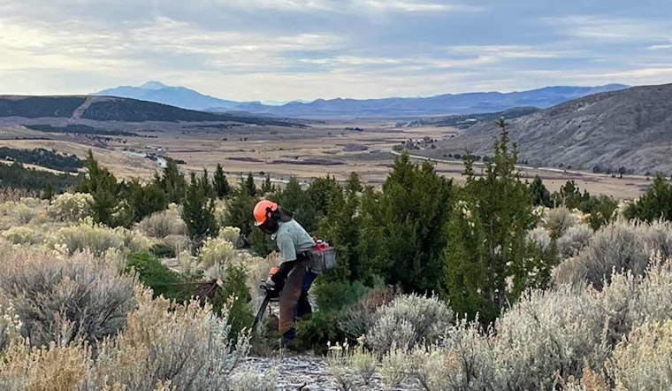 Utah's Watershed Restoration Initiative Revitalizes Over 144,000 Acres in 2024-25, Bolsters Economy with New Jobs