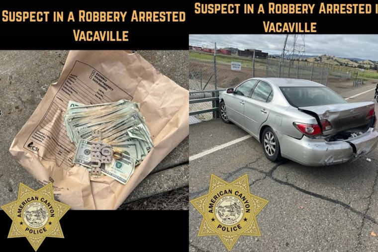 Vallejo Man Suspected of American Canyon Walgreens Robbery Captured with Aid of K9 in Vacaville