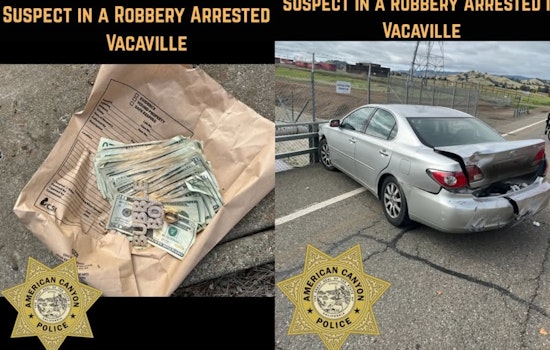 Vallejo Man Suspected of American Canyon Walgreens Robbery Captured with Aid of K9 in Vacaville