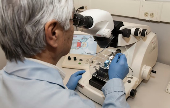Vegas Justice League Bankroll DNA Lab Sleuths to Crack Cold Cases