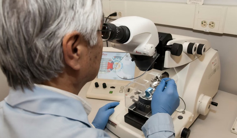 Vegas Justice League Bankroll DNA Lab Sleuths to Crack Cold Cases