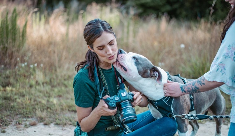 Wake County Artist Captures Shelter Dogs' Essence to Aid Adoption with Five Freedoms Photography