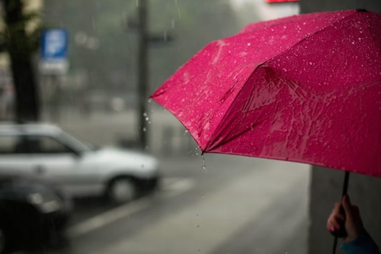 Washington D.C. Braces for Rainy Evening, Patchy Fog to Affect Commutes