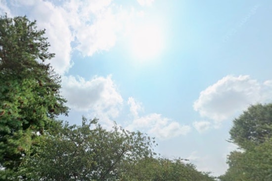 Washington D.C. Embraces Mild Temperatures and Mostly Sunny Skies This Week, NWS Reports