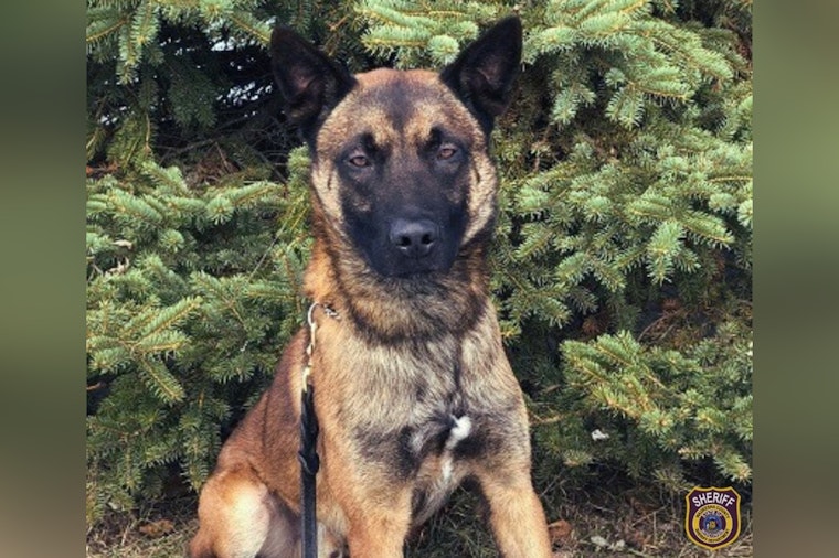 Waukesha County Celebrates K-9 Deputy Max's 8th Birthday and Retirement