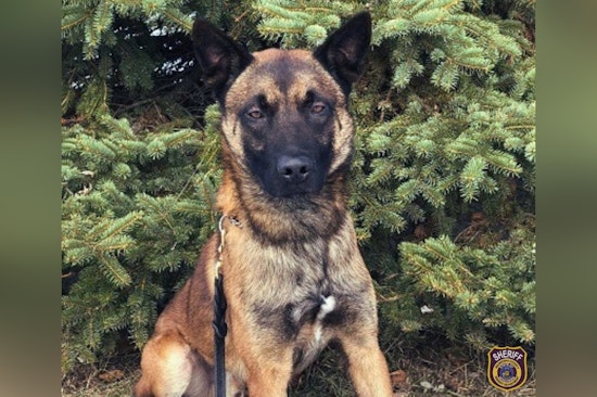 Waukesha County Celebrates K-9 Deputy Max's 8th Birthday and Retirement