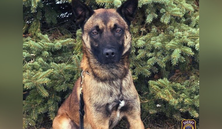 Waukesha County Celebrates K-9 Deputy Max's 8th Birthday and Retirement