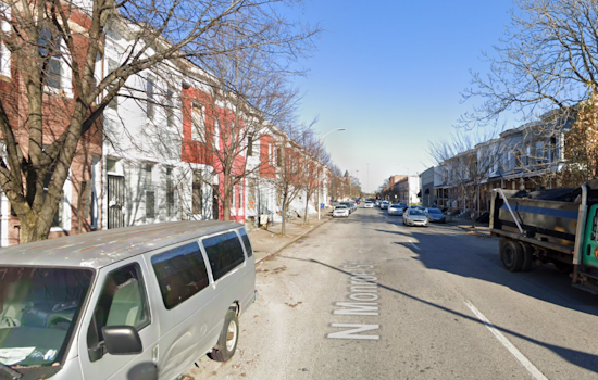 West Baltimore Community Shaken as Police Investigate Dismemberment of Kitten