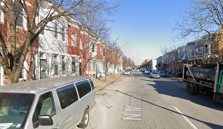 West Baltimore Community Shaken as Police Investigate Dismemberment of Kitten