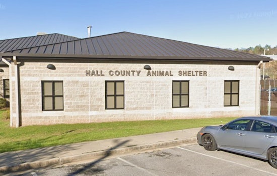 100 Animals Rescued from Suspected Hoarding Situation in Gainesville Home