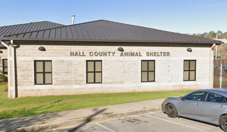 100 Animals Rescued from Suspected Hoarding Situation in Gainesville Home
