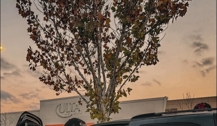 Elk Grove Police Department Captures 36 Suspects in Retail Theft Sting, Recovers $11,000 in Merchandise